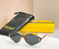FENDI Sunglasses MODEL FE 0440S SIZE 145-0-142