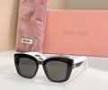MIU MIU Sunglasses MODEL SMU 08Y SIZE 52-21-140