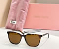MIU MIU Sunglasses MODEL SMU B03 SIZE 53-16-140