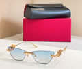 VALENTINO Sunglasses MODEL VLS1742L SIZE 60-17-145