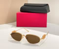 VALENTINO Sunglasses MODEL VLS1743L SIZE 57-17-145