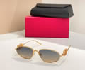VALENTINO Sunglasses MODEL VLS1743L SIZE 57-17-145