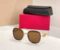 VALENTINO Sunglasses MODEL VLS1745L SIZE 53-22-145