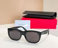 SAINT LAURENT YSL Sunglasses MODEL SL 815 SIZE 66-10-145