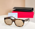 SAINT LAURENT YSL Sunglasses MODEL SL 815 SIZE 66-10-145