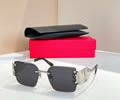 SAINT LAURENT YSL Sunglasses MODEL SL M1729L SIZE 57-17-145