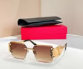 SAINT LAURENT YSL Sunglasses MODEL SL M1729L SIZE 57-17-145