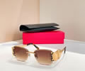 SAINT LAURENT YSL Sunglasses MODEL SL M1730L SIZE 57-17-145