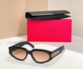 SAINT LAURENT YSL Sunglasses MODEL SL M247 SIZE 63-15-148