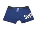 Champion men Underwear