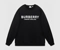BURBERRY Lovers Hoodies best quality