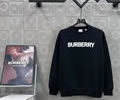 BURBERRY Lovers Hoodies best quality 1:1