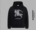 BURBERRY Lovers Hoodies best quality 1:1