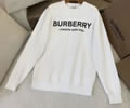 BURBERRY Lovers Hoodies