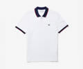 LACOSTE Men Polo