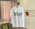 Christian Dior Lovers T-shirt best quality