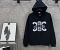 CELINE Lovers Hoodies best quality