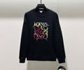 LOEWE Lovers Hoodies Best quality