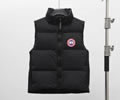 CANADA GOOSE Lawrence 2804MB Down Vest best quality