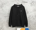 CELINE Lovers Hoodies best quality
