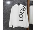 LOEWE Lovers Hoodies