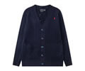 Ralph Lauren Mens Sweater Best quality