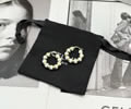 CELINE Earring best quality