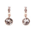 Givenchy Earring best quality