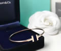 Tiffany & CO Bracelet best quality