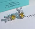 Tiffany & CO Earring best quality