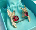 Tiffany & CO Earring best quality
