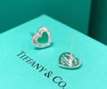 Tiffany & CO Earring best quality