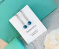 Tiffany & CO Earring best quality