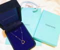 Tiffany & CO Necklace best quality