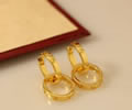Cartier Earring Best quality