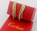 Cartier Earring Best quality