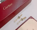 Cartier Earring Best quality