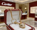 Cartier Necklace best quality