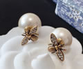 DIOR Earring best quality