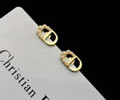 DIOR Earring best quality