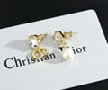DIOR Earring best quality