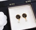 DIOR Earring best quality