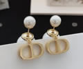 DIOR Earring best quality