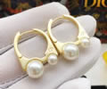 DIOR Earring best quality