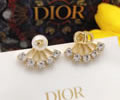 DIOR Earring best quality