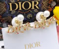 DIOR Earring best quality