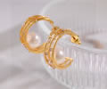 DIOR Earring best quality