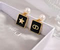 DIOR Earring best quality