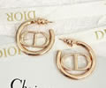 DIOR Earring best quality