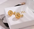 DIOR Earring best quality
